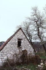 Abandoned old stone rural house. Village house. Derelict haunted stone house and dirt road in the woods. Tree white blossom