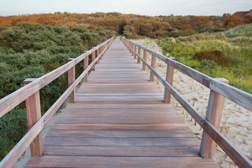Fototapeta na wymiar Wooden footbridge on a beach in West Flanders, Belgium