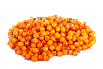 heap of sea buckthorn isolated on white