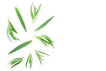 tarragon or estragon isolated on white background with copy space for your text. Artemisia dracunculus. Top view. Flat lay
