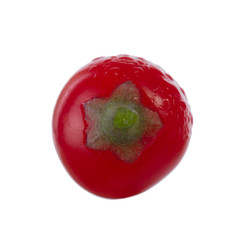 single red solanum isolated on white background
