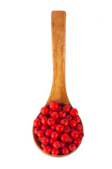 heap of red ashberry in wooden spoon isolated on white background