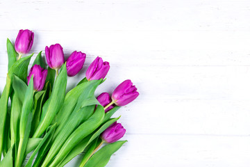 Purple violet tulips bouquet on white wooden background. 
