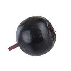 single black chokeberry isolated on white background