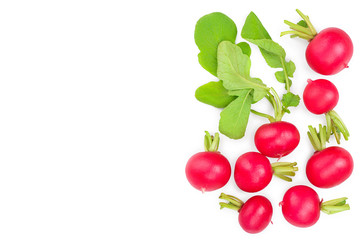 fresh whole radish isolated on white background with copy space for your text. Top view