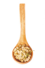 heap of fresh white currants in wooden spoon isolated on white