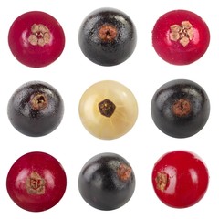 set of berries of red, black and white currants isolated on white