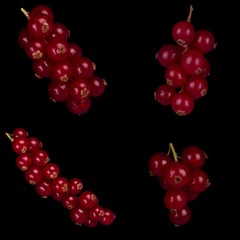 set of bunches of red currant isolated on black