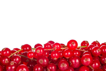 heap of fresh red currants isolated on white background
