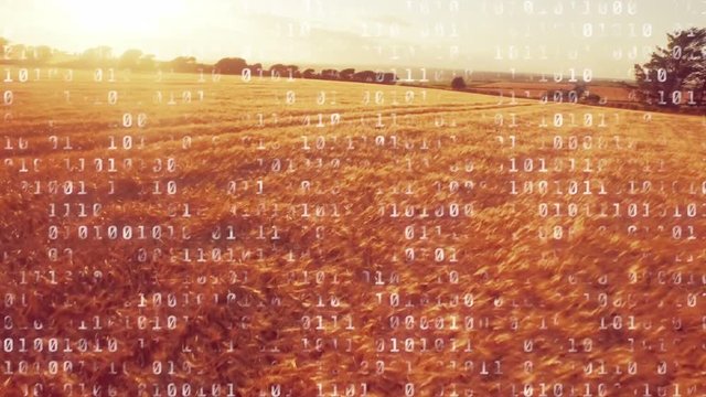 Binary codes in a field