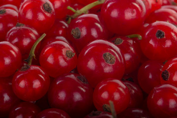 fresh red currants background