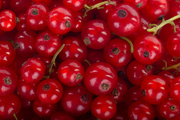 fresh red currants background