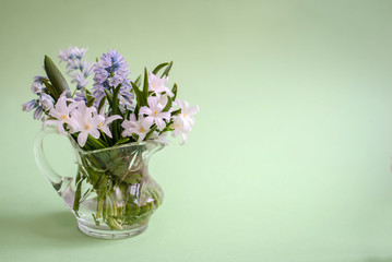 Bouquet of white flowers Chionodoxa in a glass vase on a green background