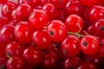 fresh red currants background