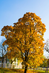Naklejka premium Autumn in Minsk