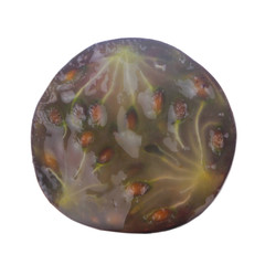 half of black currant isolated on white background