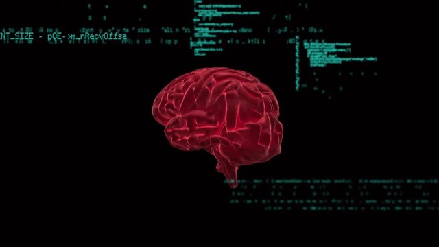 Brain and codes