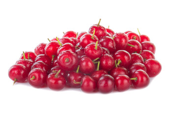 heap of glossy red chokecherry isolated on white background