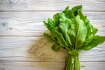 Fresh organic sorrel, spinach plant bunch on wooden table for spring green vegetables soup salad. Raw sorrel leaves top view green vegetable background. Spring green vegetables - sorrel spinach