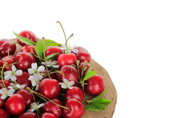 heap of cherry with leaves and flowers in wooden stub isolated on white