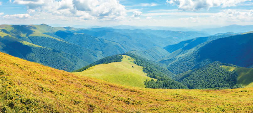 panoramic sunny summer landscape in mountains. amazing view from the hill of borzhava range. clouds on a blue sky.