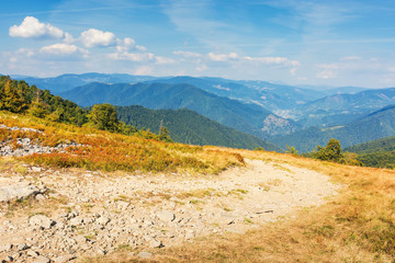 Fototapeta na wymiar gravel road through the mountain meadow. beautiful summer scenery with clouds on a blue sky. wonderful landscape with village in the distant valley. beech forest and weathered grass on the slope