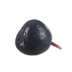 single bilberry with water drops isolated on white background