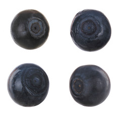 set of bilberries isolated on white background