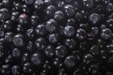 fresh  bilberries background
