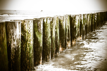 Raw of Wooden Breakwaters at a seaside