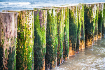 Raw of Wooden Breakwaters at a seaside