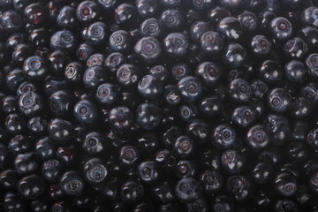 fresh  bilberries background