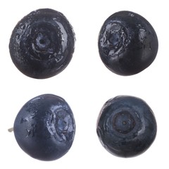 set of bilberries isolated on white background