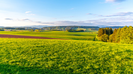 Obraz premium Green hilly landscape with Giant Mountains, Czech: Krkonose, on skyline, Czech Republic.