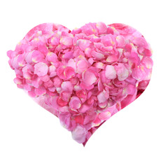 Obraz premium heart of pink rosehips petals isolated on white background