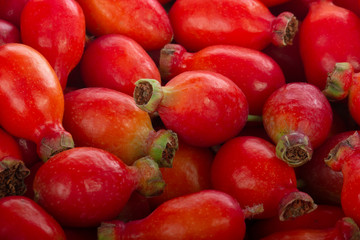 heap of red hips background