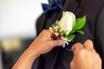 Female hands putting bouttonniere on a groomsman