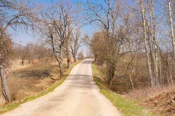 autumn.country road winds among the trees