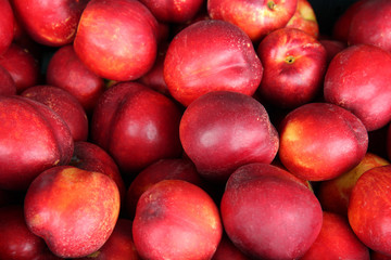 Many red  nectarines in the market