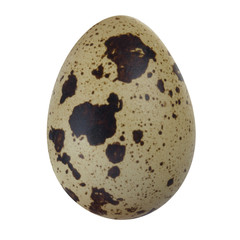 Obraz na płótnie Canvas quail egg isolated on white background