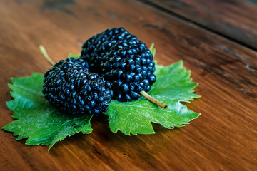 fresh Mulberry