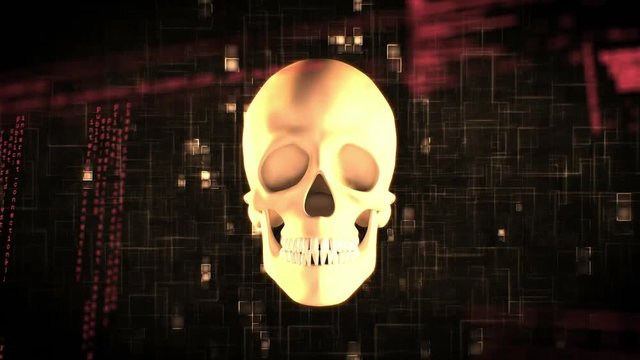 Human skull and program codes