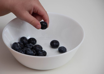 Blueberries in the hands of a child. child's hand takes blueberries from a white bowl on a white background