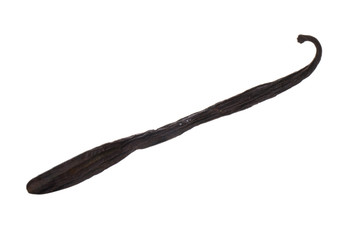 single vanilla pod isolated on white background