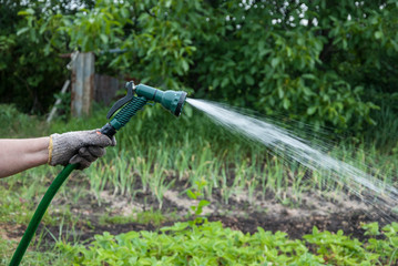 Naklejka premium Watering lawn grass with a shower sprayer head