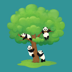 Adorable giant panda cubs climbing a tree, hanging from the branch, resting on a bough and standing on hind legs near the trunk. Black and white chinese bears. Rare, vulnerable species.