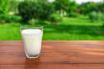 A glass of milk on the background of the summer garden on a wooden table.