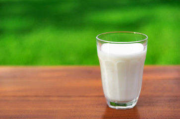 A glass of milk on the background of the summer garden on a wooden table.