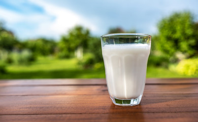A glass of milk on the background of the summer garden on a wooden table.