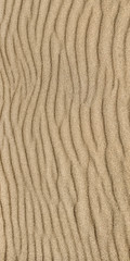 Sand ripple texture. Sandy background. Sand close-up.